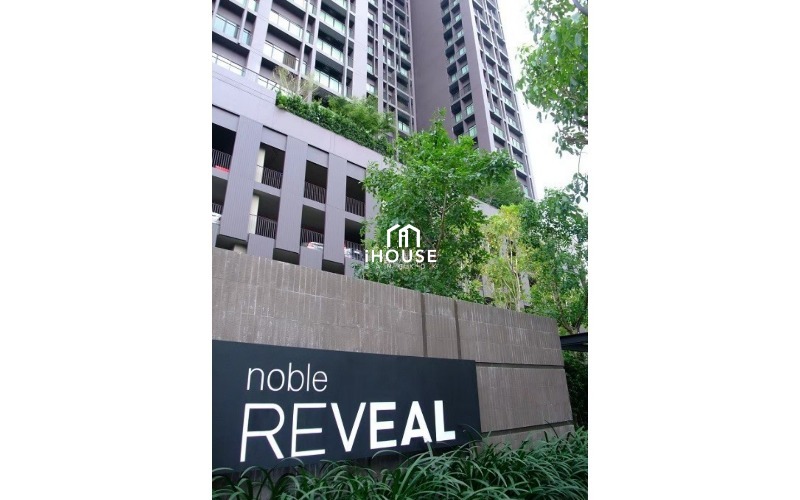 Noble Reveal